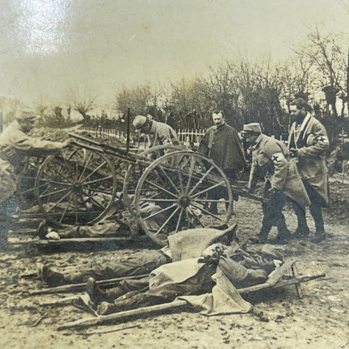 1918 bois france - bois,